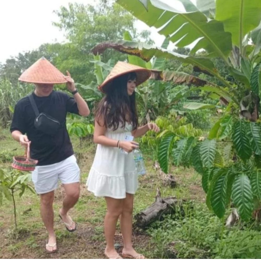 Coffee Plantation & Bee Farm Duration 2 Hours min 2 pax